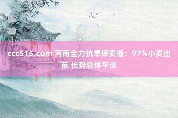 ccc515.com 河南全力抗旱保麦播：97%小麦出苗 长势总体平淡