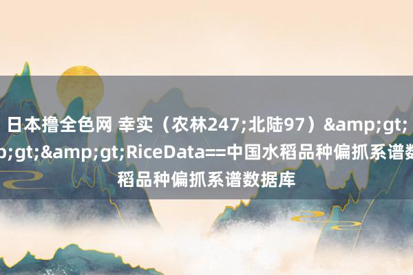 日本撸全色网 幸实（农林247;北陆97）&gt;&gt;&gt;RiceData==中国水稻品种偏抓系谱数据库