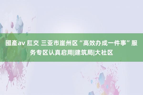 國產av 肛交 三亚市崖州区“高效办成一件事”服务专区认真启用|建筑局|大社区