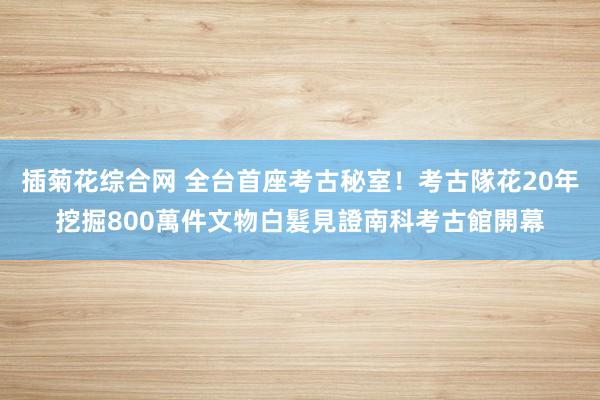 插菊花综合网 全台首座考古秘室！考古隊花20年挖掘800萬件文物　白髮見證南科考古館開幕