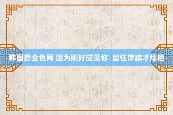 韩国撸全色网 因为刚好碰见你  留住萍踪才灿艳